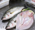 Fresh Whole Sea Bass