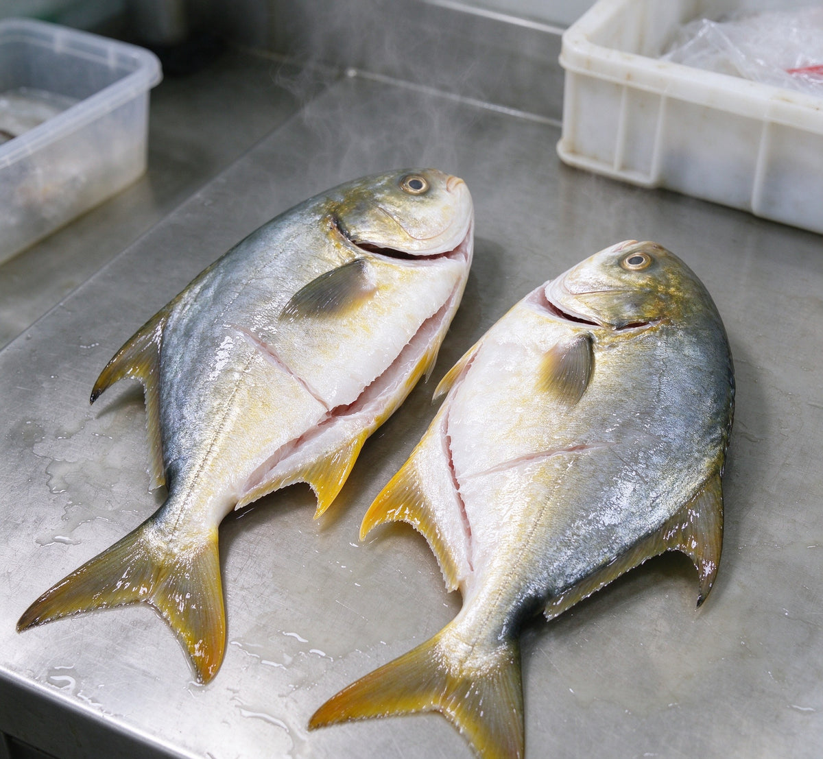 Fresh Whole Golden Pomfret